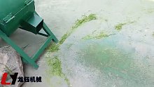 水草打浆机 萝卜冬瓜粉碎机 动力电鲜草草浆机