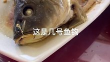 这条鱼太鲜了