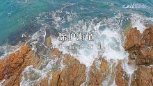 长沙海底世界|保护海龟，守护蓝色家园&amp;五分钟开完海月水母的一生！