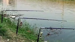 钓鱼也能挂机吗？
