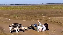 狗子：你别喊～你别喊～越喊我越兴奋！
