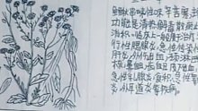13岁儿子没考好 父亲检查书包发现一本手绘中草药图：喜忧参半