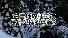 独自一人来到雪地森林里露营，利用松树搭建庇护所，晚上烤肉吃