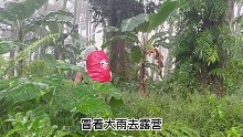 冒着大雨来到森林里过夜露营！