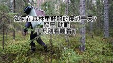 如何在下雨的森林里度过一天？ 我把家搬到森林里了。