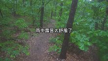 雨中露营真是太舒服了，露营听雨声