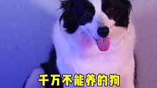 孩子和狗有时候真的顾不过来