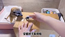 安妮有弟弟啦！起个什么名字呢