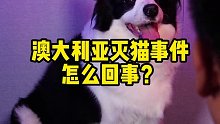 猫泛滥和鼠泛滥，你会怎么选呢？