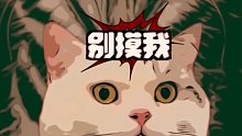 面对我这么可爱的小猫咪，居然不沦陷？