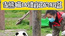 国宝熊猫：我的盆盆奶呢！