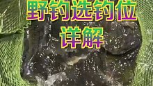 钓鱼技巧