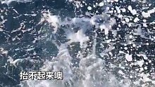 体验钓友新船，放鞭pao式钓鱼，一竿上来十一条 (4)