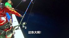 看着鱼吃饵是一种什么体验？ (4)