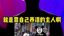 养了它，提前退休不是梦！