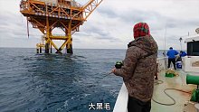 鱼情不好，接连转换了几个井架，不得不拿出秘密武器！ (3)