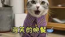 养肥一只小猫咪你就能收获一只mini版羊驼