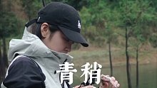 春日探钓水库，偶遇青稍，牛毛细雨的下午，轻露营和钓鱼浪漫组合，邂逅一尾小青稍，偷得浮生半日闲