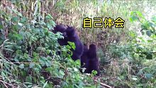 还偷拍？给你手势自行体会！