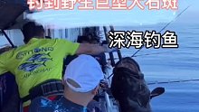 深海钓鱼，钓到野生巨型大石斑，鱼比人都重。一条就发大财了！