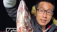 用整个鱼头钓大鱼，结果往往是意想不到的！ (1)