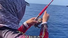 一个早上钓了几百斤金枪鱼，来看看现场我们是怎么把它钓上来的吧 (5)