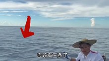 海钓碰到鱼群就是爽，几条几条的上实在是过瘾 (6)
