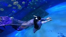 潜水日记 (12)