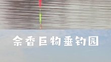 冬天钓30斤起步的青鱼巨物塘，无铅都用10+8线组了，如果大跑真看不到口了