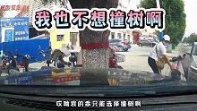 我也不想碰树，可是真的刹不住#创作灵感 #道路千万条安全第一条  第一集