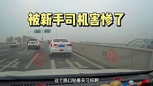 新手司机走错路口突然停车，导致后方车辆追尾，被害惨了第一集