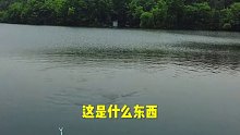 钓个鱼这下惹上事了……我还能解释的清吗？ (12)