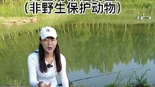 本来想买两条鱼回去吃，老板不给卖，没想到最后遇到百斤巨物，到底是谁赔了呢！ (20)