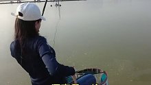 户外钓鱼黑坑有风险，下杆需谨慎呀~鱼就是脾气这么大，说不吃了，一天都没口了哎 (4)