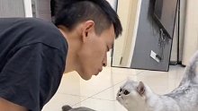 猫：我都经历了什么？