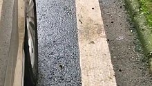 真不是故意的