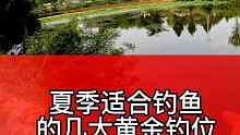 【野钓】夏季钓鱼的几大黄金钓位，你坐对了吗？