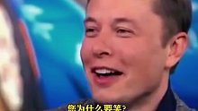 十一年前，马斯克曾直言比亚迪不是特斯拉的对手