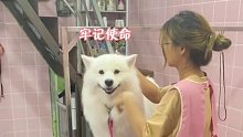 百万：不错不错，但是细节有点没到位，下次注意一点