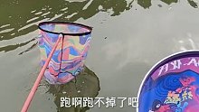 比赛虽小，没钓好也无法原谅自己！ (14)