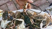 卖20多年螃蟹的人也会被夹，看看这位烟台大叔是怎么操作自救的
