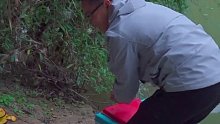 提上我的大公鸡，看望我的丈母娘 (26)