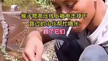 这猴子还能活命吗