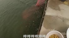 我帅大个钓鱼就两个字，飞它！ (9)