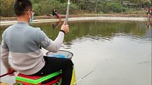 今年盘的钓费最低的一场黑坑，看看我能钓多少鱼。 (8)