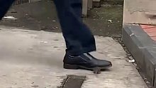 老鼠趁没人迅速过街，没想反被路人一脚踩中