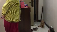 猫咪串门被邻居大爷灵魂拷问！