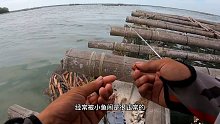 海钓腊鱼如何有效避免小鱼来闹