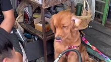 无线连接修勾