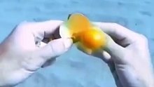 潜水员在盖的海底打碎鸡蛋，结果尴尬了